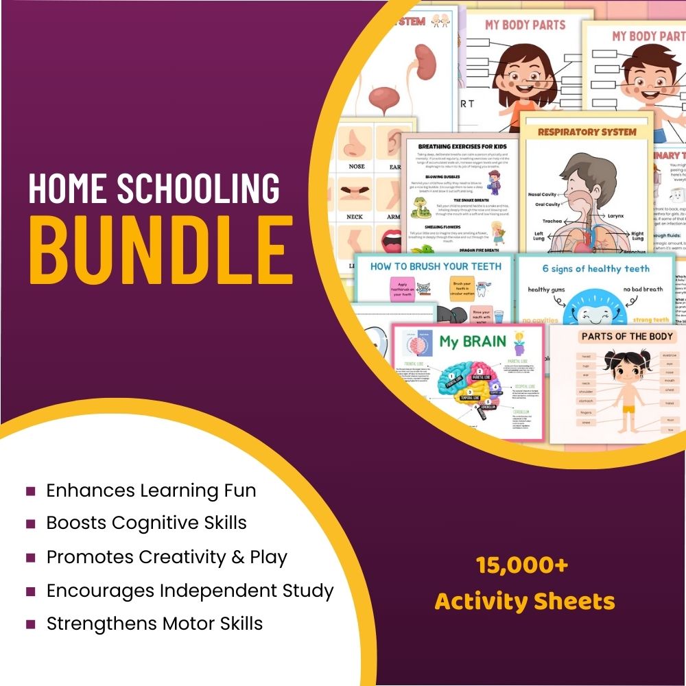 Kids Home Schooling Bundle